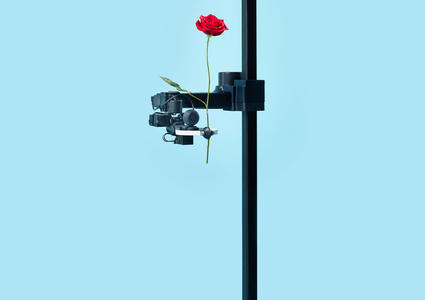 Stretch Robot Presents a Rose in its gripper