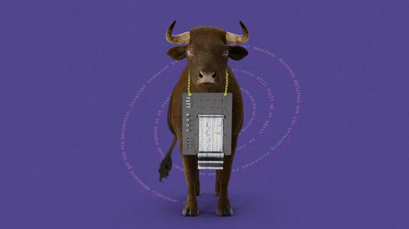 Un toro mirando al frente con una máquina de polígrafo alrededor del cuello. Detrás, espirales de texto superpuestas.