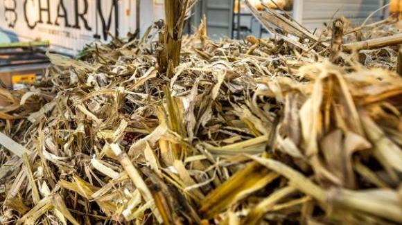 Foto: Charm convierte los residuos del maíz en biopetróleo y luego lo introduce a los pozos regulados y cavernas. Créditos: Charm Industrial